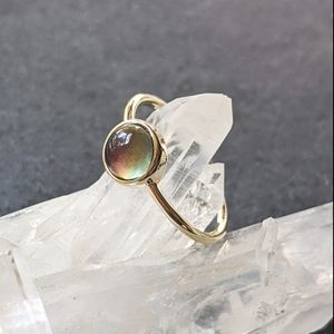 NWT Honeycat Jewelry 18k Gold Plated Mini Mood Ring, Size 8